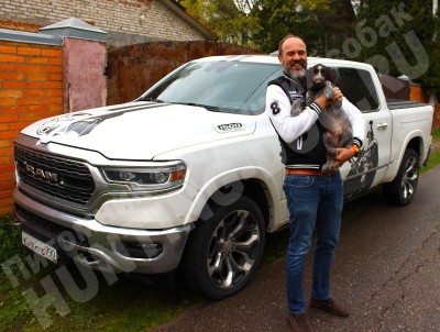 Новые владельцы